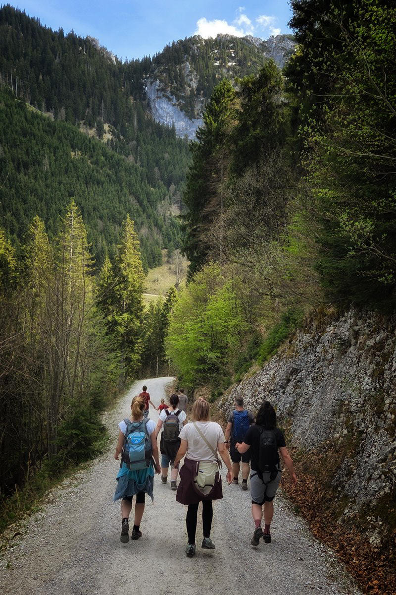 Wanderung Rohrkopfh�tte in Schwangau mit Sandra Bischof und Mathias Starzer - Wanderweg zur�ck ins Tal